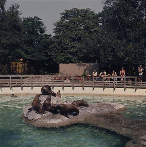 Foto van een saneringsterrein tijdens een Drents project