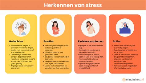 illustratie van een gestreste kat met verschillende oorzaken van stress