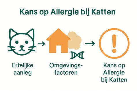 infographic over de verschillende oorzaken van angst bij katten