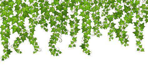 Gevelgroene illustratie: groene muur met klimplant en nestkasten