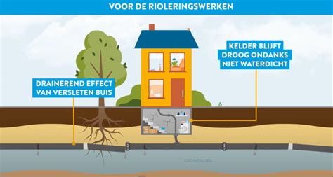 Infographic: Overzicht stap-voor-stap riolering installatie