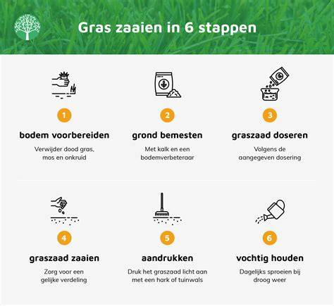 Infographic over stap-voor-stap gras zaaien en voegmiddel