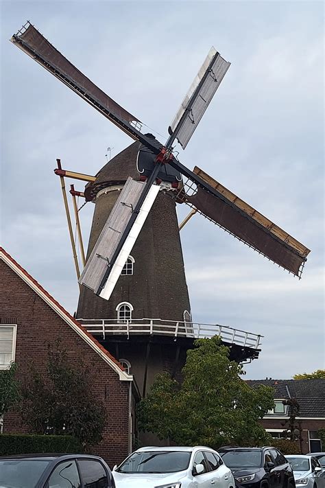 Foto: molen De Vlijt en hunebed D52