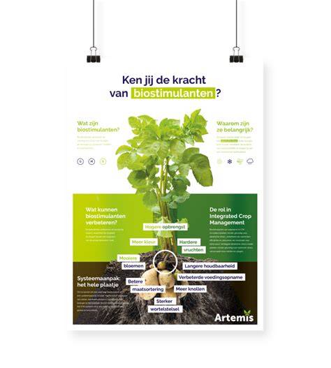 Infographic: Kenmerken Calando Waterproof in één oogopslag