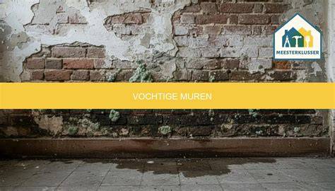 Zicht op vochtige muren: signalen en diagnose infographic