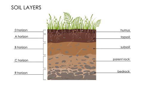 Diepte- en palenkeuze: infographic met bodemlagen en palen