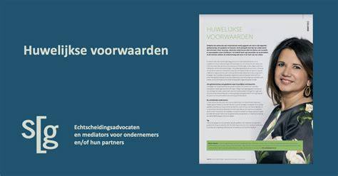 Infografiek van de services: echtscheiding, mediation, ouderschapsplan, alimentatie, huwelijkse voorwaarden