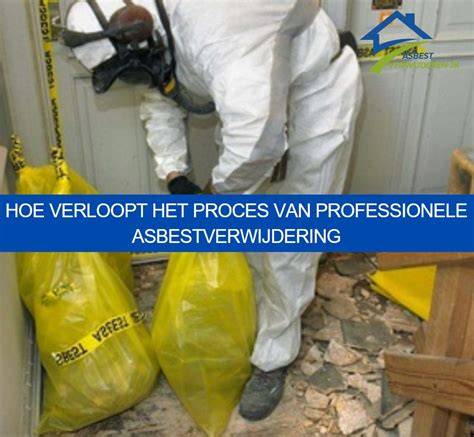 Infographic: Overzicht asbestverwijdering proces