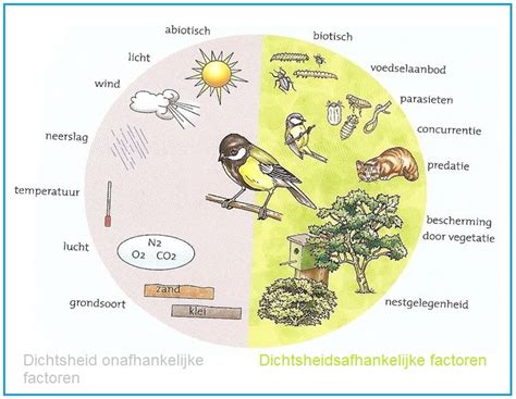 Schema met de verschillende factoren die de droogtijd van een dekvloer beïnvloeden.