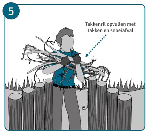 Infographic: zeven stappen om een takkenril te maken