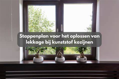 Infographic: Oorzaken en oplossingen voor lekkage bij draai-kiep kunststof kozijnen
