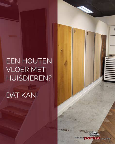 Infographic: Parketonderhoudschecklist, tips en afwerkingen