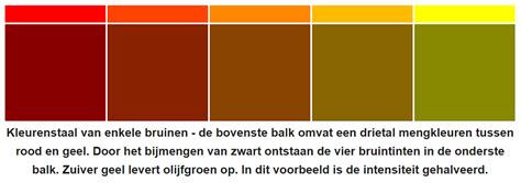Infographic die de verschillende factoren toont die de kleurintensiteit van een gerookte houten vloer beïnvloeden.