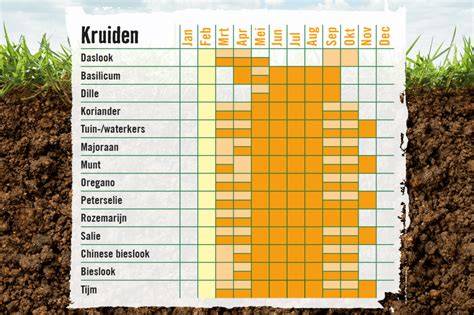 Infographic: Overzicht van kruiden per standplaats en verzorging