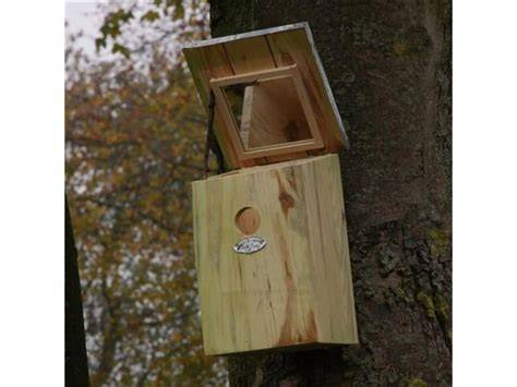 Cat-safe tuin met nestkasten