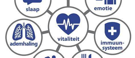 Schema leefstijlfactoren: slaap, stress, voeding, ziekte
