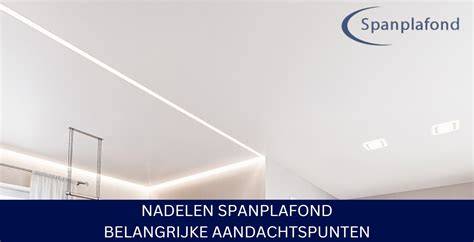 Infographics: Voor- en nadelen van verschillende plafondoplossingen (spanplafond, inbouwspots, railsystemen)