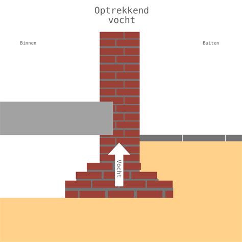 Illustratie van capillaire werking die optrekkend vocht veroorzaakt