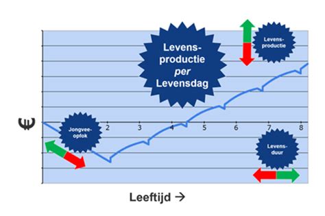 Grafiek die de verwachte levensduur van een CV-ketel met daarbij de aanbevolen onderhoudsmomenten toont