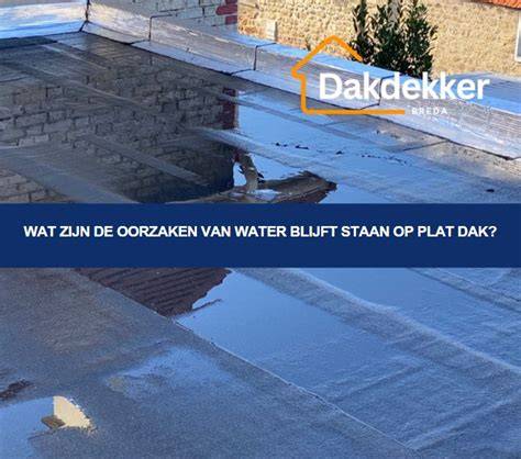 Infographic: oorzaken van waterophoping op platte daken en bijbehorende oplossingen