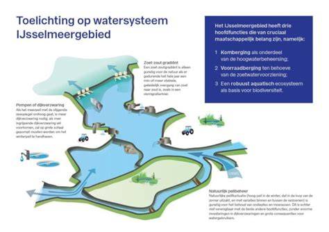 Rotterdams watersysteem en vochtige wijken infographic