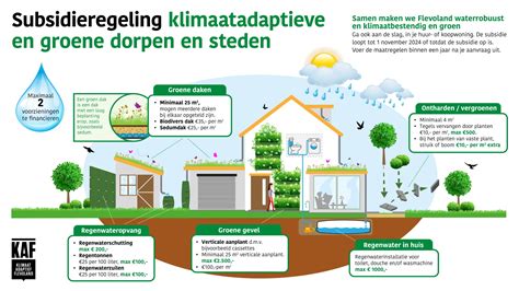 Infographic: Overzicht subsidieregeling groene daken