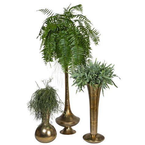 Bronsaccenten met groene planten