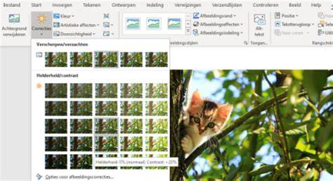 Infographic: Overzicht van stappen bij het invoegen en bewerken van afbeeldingen in Word