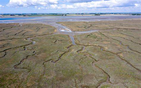 Wadplaten en slikken in de Oosterschelde