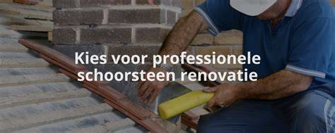 Infographic: factoren die de schoorsteen verwijderingskosten beÃ¯nvloeden