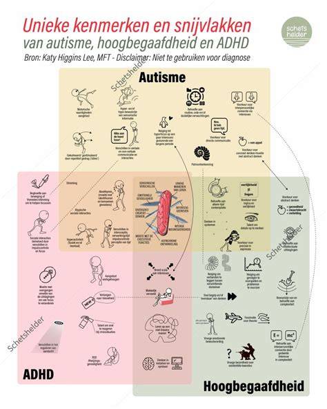 Infographic overzicht van de Trento-badmeubelserie met kenmerken en afmetingen