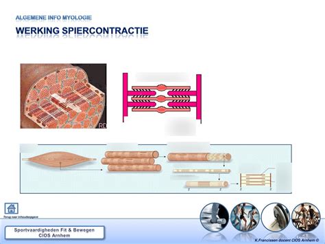 Diagram: DryBricks®-systeem in werking
