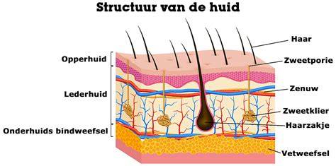 Diagram: dikte en structuur van sisaltouw