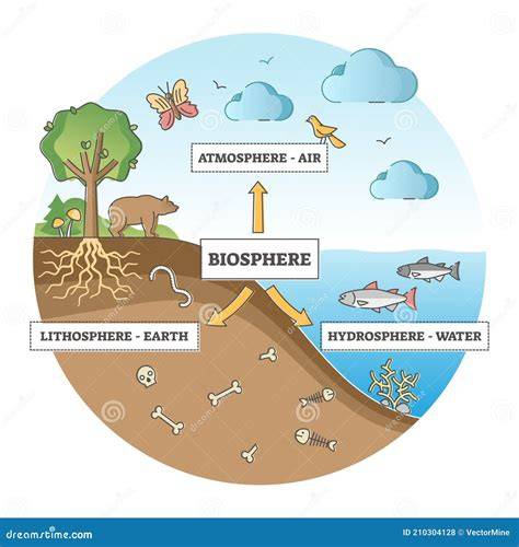 Illustratie van biosfeer en technosfeer met kringlopen en materiaalstromen