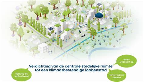 Infographic: overzicht van IKEA handdoekrekken, types en ruimtegebruik