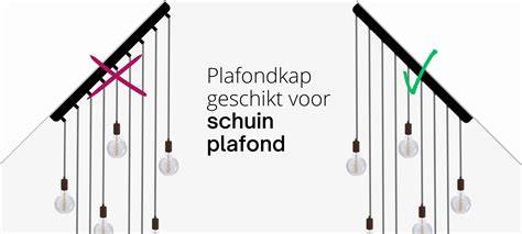 Infografiek: Overzicht van opties voor afwerking van een schuin plafond