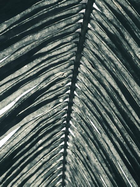 Close-up van fotoprint gecombineerd met absorberende kern en frame