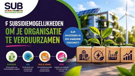 Infographic: Overzicht subsidiemogelijkheden en verbruikscijfers voor Dussen