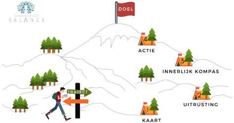Infographic: loopbaanpad tot timmerman en vaardigheden