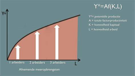 Infographic structuur van de productiefunctie: Y = A f(K,L) met toelichting op K, L, A