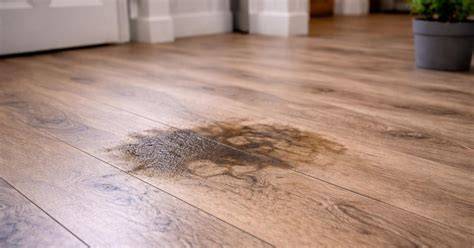 Infografiek: Vochtproblemen onder houten vloeren en circulatie