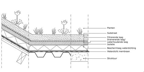 Infographic over drie lagen groendak: drainage, substraat, sedum