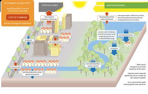 Diagram van warmte-eiland effect met groendaken ter verkoeling