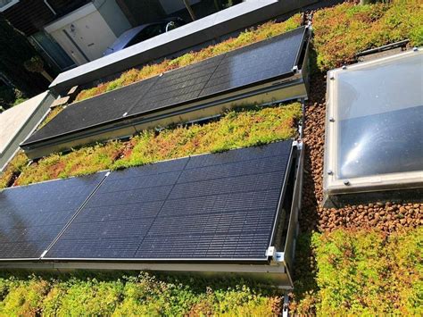 Illustratie: duurzame dakoplossingen met groendak en zonnepanelen