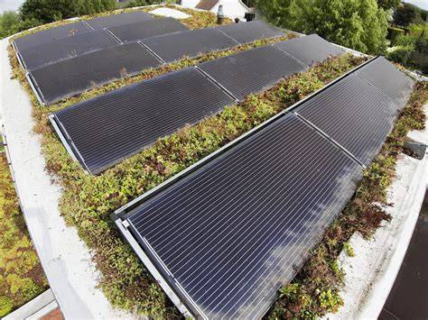Diagram: combinatie groendak en zonnepanelen op plat dak