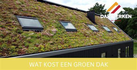 Infographic: kosten en subsidies voor groendaken