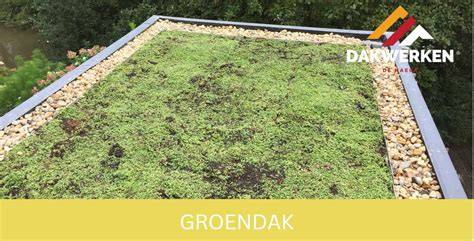 Schematische weergave randafwerking groendak