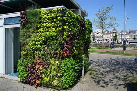 Voorbeeld van groene gevel en sedumdak naast elkaar
