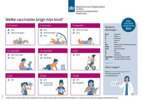 Infographic: Overzicht van overschilderbare kittypen en hechtingstappen