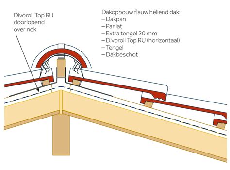 Diagram: Wat huisdieren onder het dak doen en waar ze voorkomen